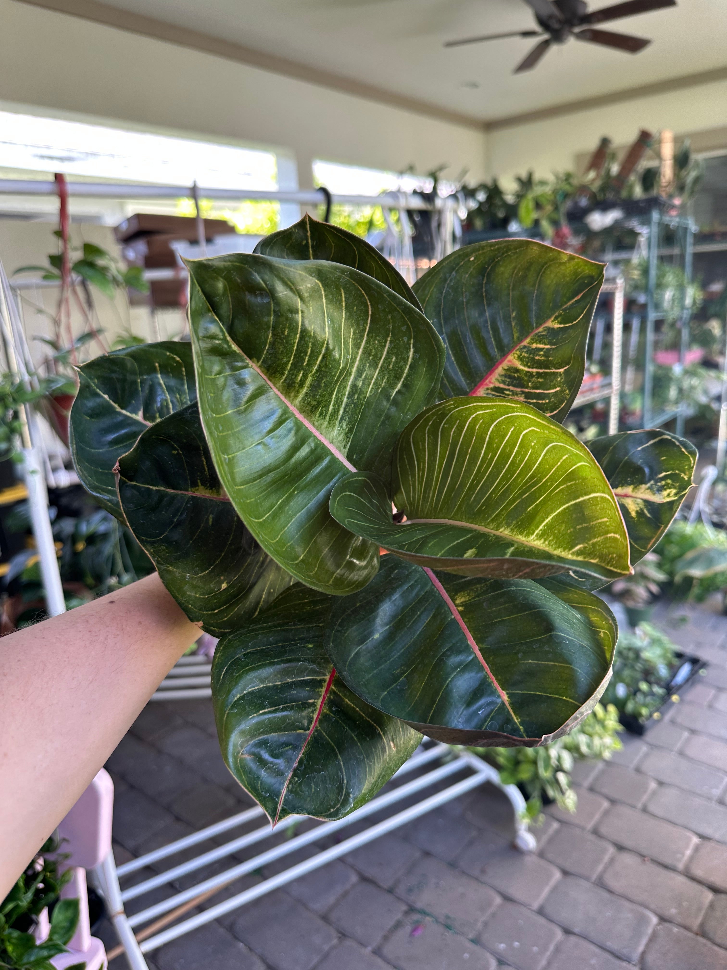 5E851D84-186D-4852-B187-