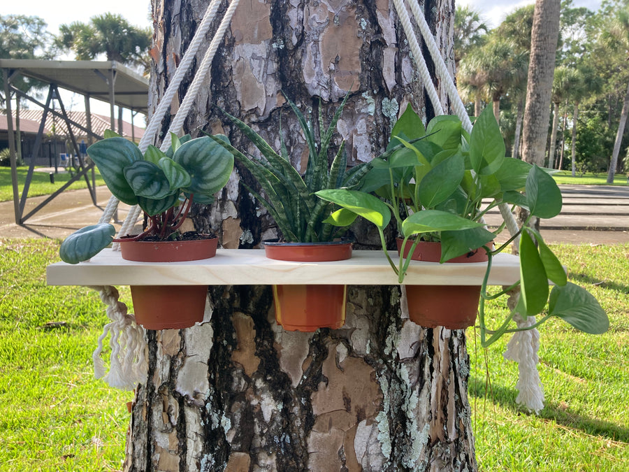 Macrame that fits three 4” pots