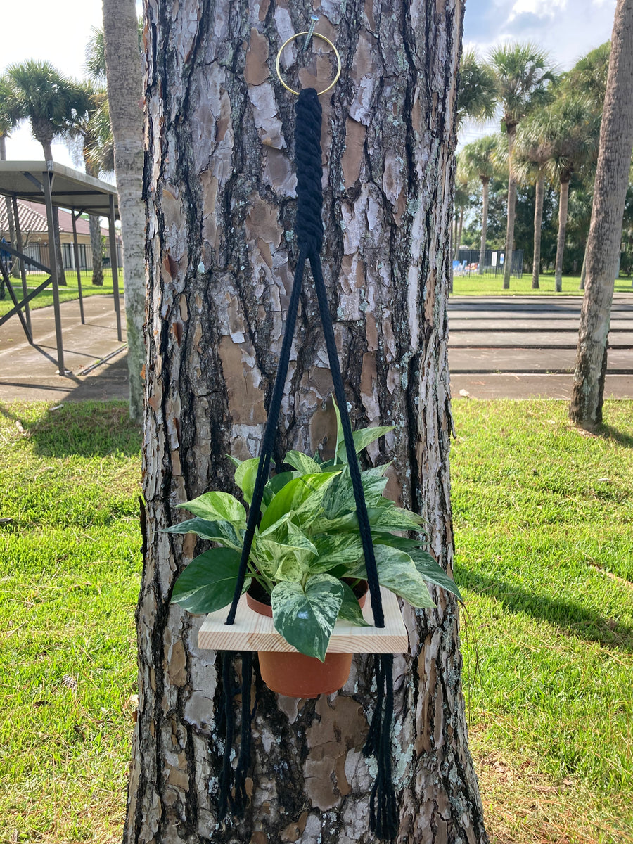Macrame Single Plant Holder - 6” pot