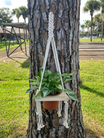 Macrame Single Plant Holder - 6” pot
