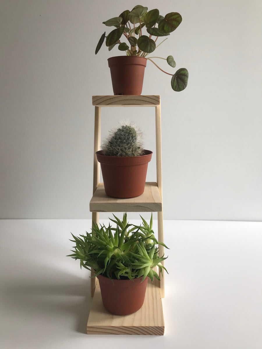 Handmade Three Plant Stand