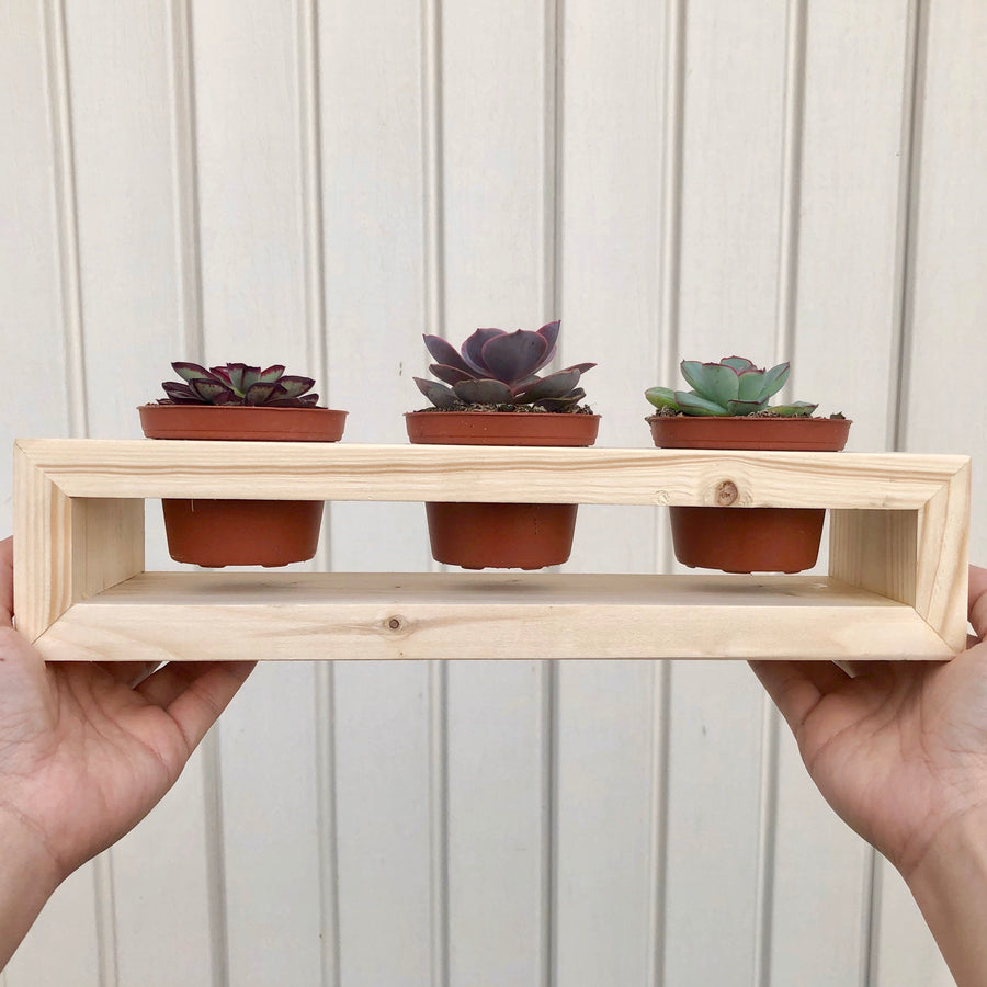Cute & Handmade Plant Holder - Holds 3” pots