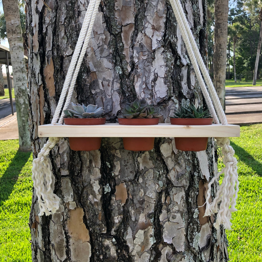 Macrame three pot plant hanger- fits three 3” pots