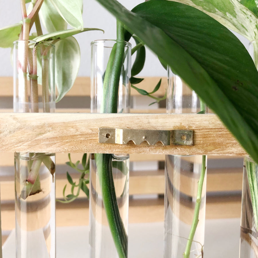 Propagation Station with 4 Glass Tubes | Wood Hanging Planter - 4 stain options